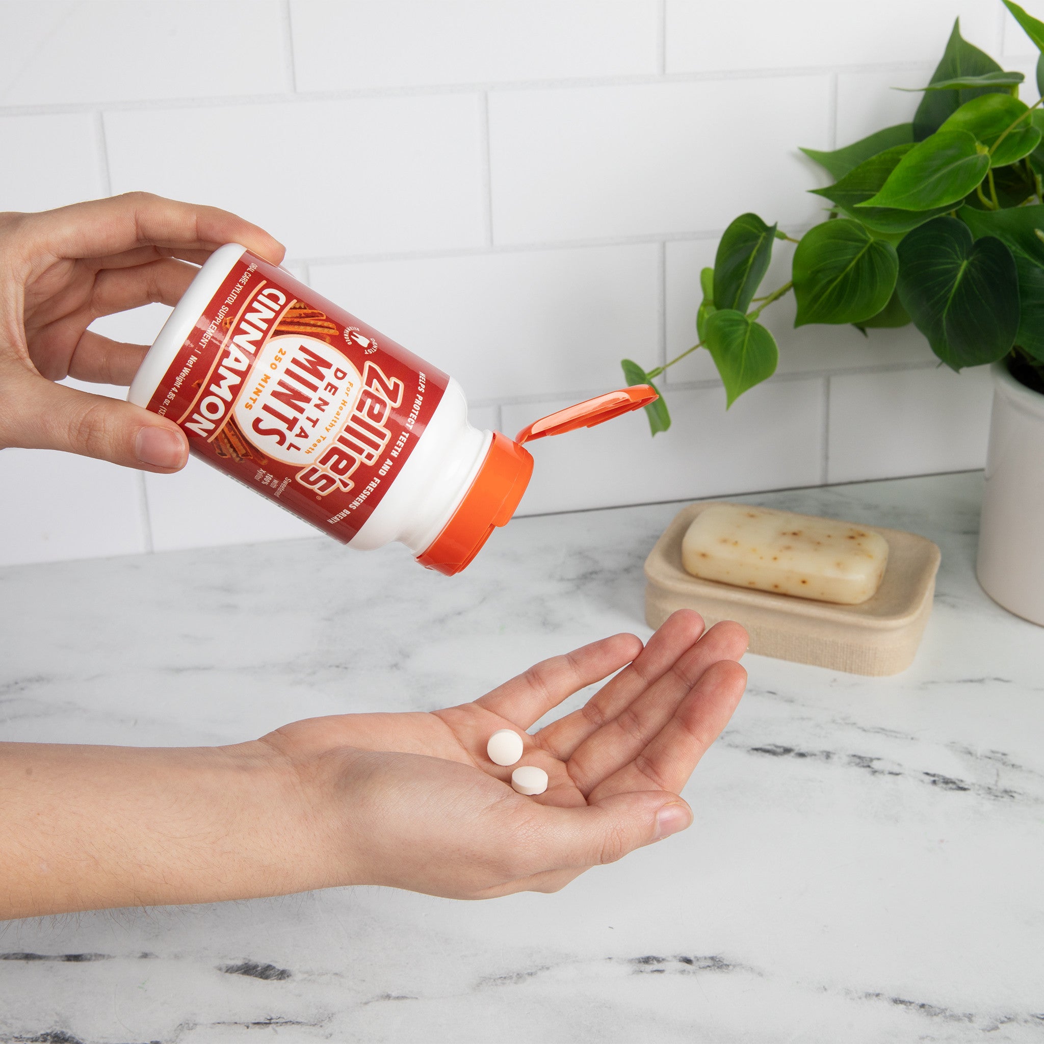 CINNAMON Xylitol Dental Mints