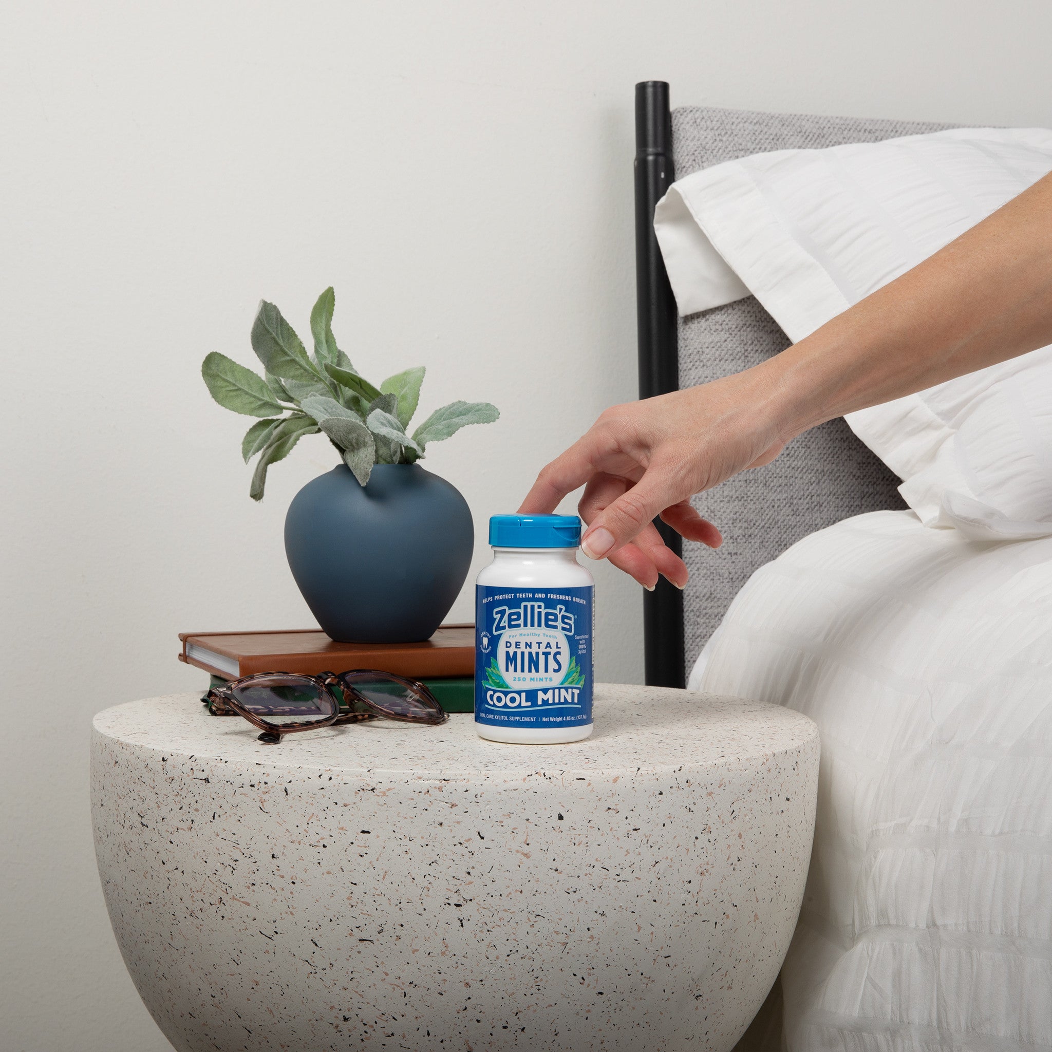 COOL MINT Xylitol Dental Mints